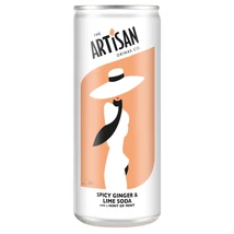 Artisan Spicy Ginger &amp; Lime Soda 0,25L