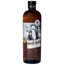 Kosteas Big Sir Gin 40% 0,7L
