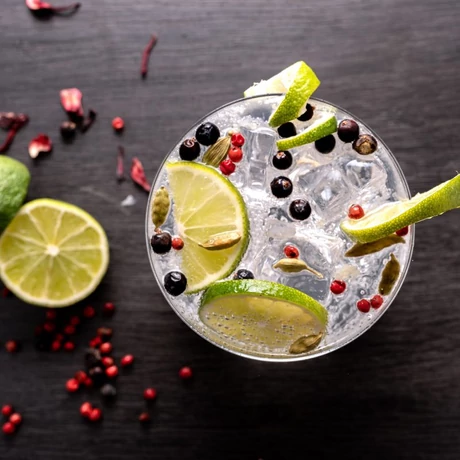 gin tonic botanicals