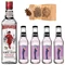 Beefeater Gin Tonik szett ajándék csillagánizzsal